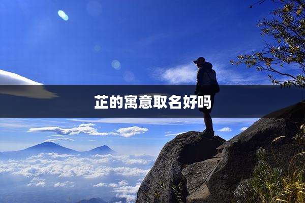 芷的寓意取名好吗