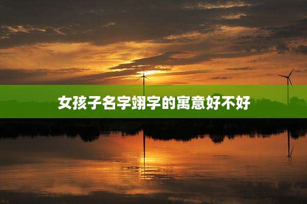 女孩子名字翊字的寓意好不好
