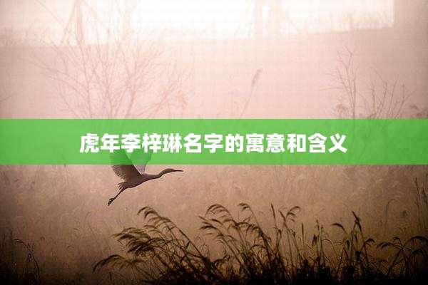 虎年李梓琳名字的寓意和含义