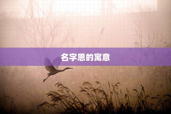 名字恩的寓意
