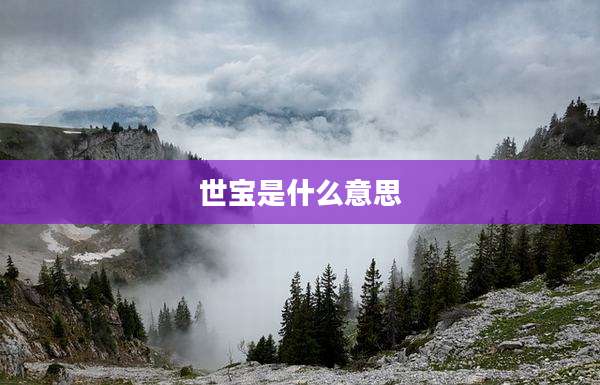 世宝是什么意思