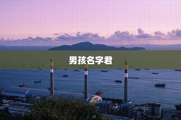 男孩名字君