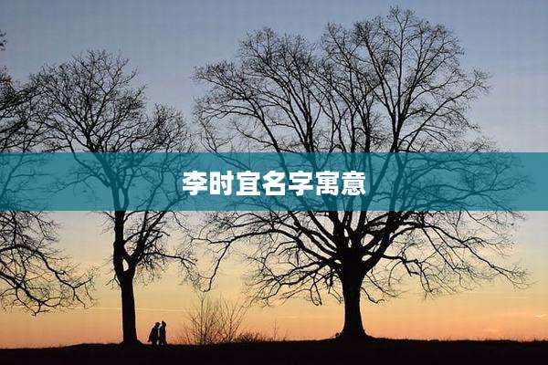 李时宜名字寓意