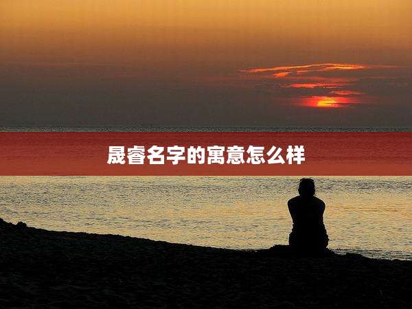 晟睿名字的寓意怎么样