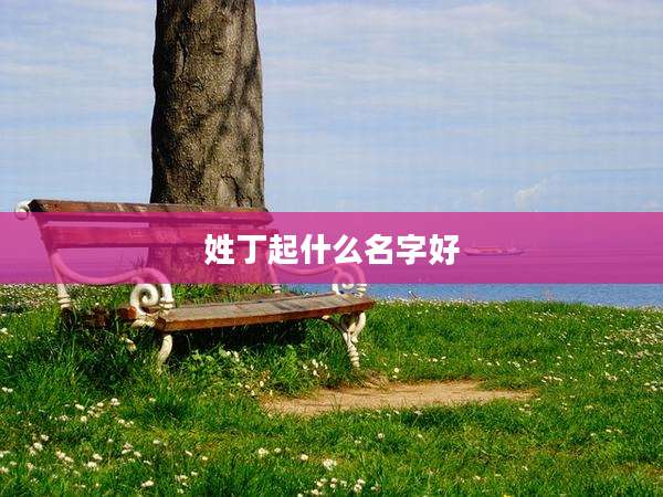 姓丁起什么名字好