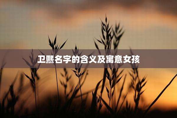 卫熙名字的含义及寓意女孩