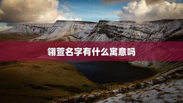 翎萱名字有什么寓意吗