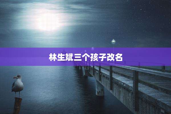 林生斌三个孩子改名