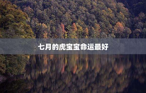 七月的虎宝宝命运最好