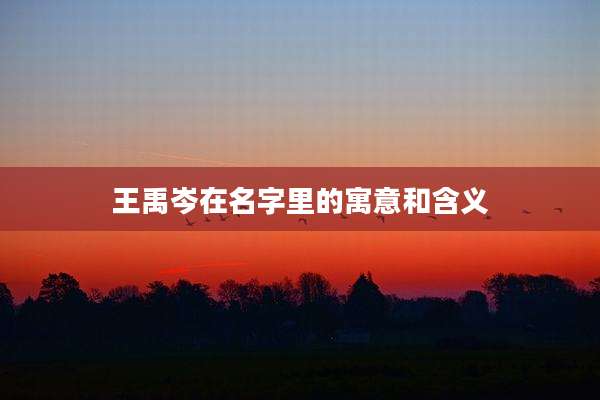 王禹岑在名字里的寓意和含义