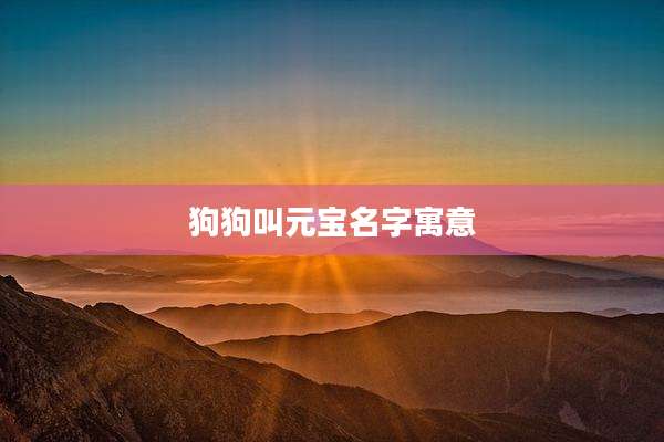 狗狗叫元宝名字寓意