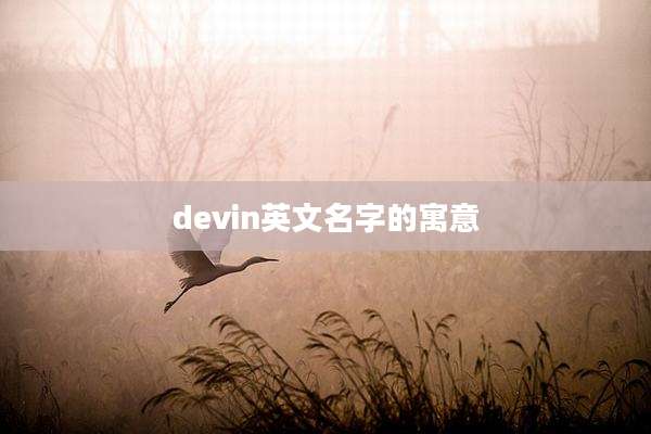 devin英文名字的寓意