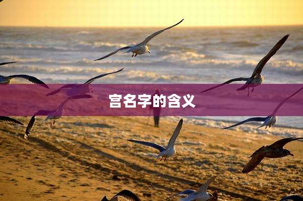 宫名字的含义