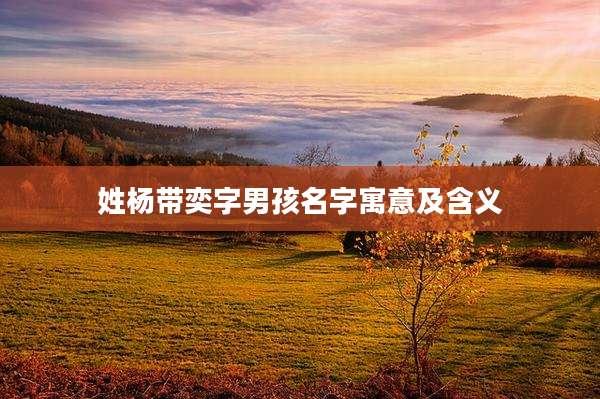 姓杨带奕字男孩名字寓意及含义