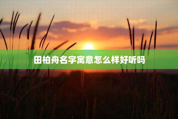 田柏舟名字寓意怎么样好听吗