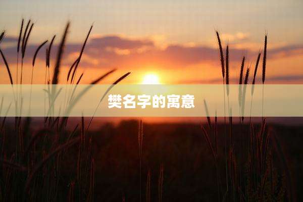 樊名字的寓意