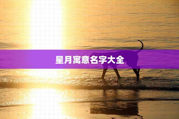 星月寓意名字大全