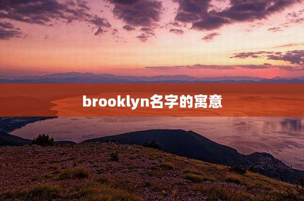 brooklyn名字的寓意