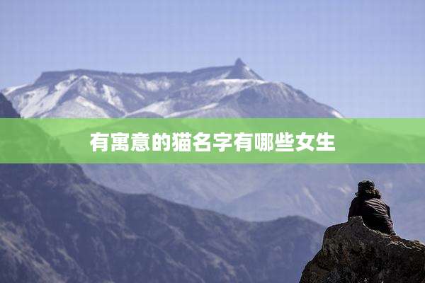 有寓意的猫名字有哪些女生