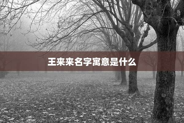 王来来名字寓意是什么