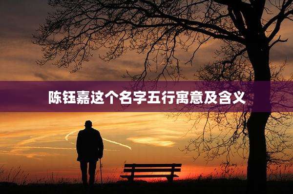 陈钰嘉这个名字五行寓意及含义