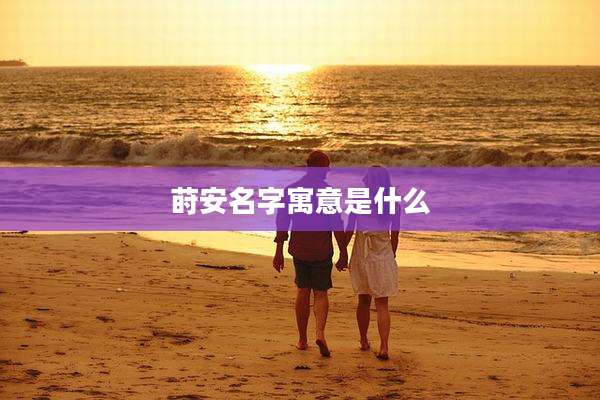 莳安名字寓意是什么