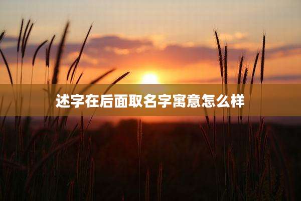 述字在后面取名字寓意怎么样