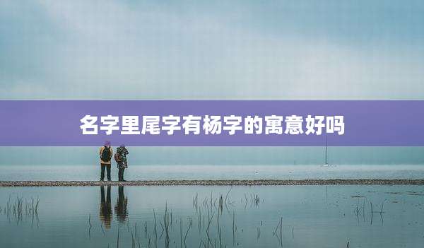 名字里尾字有杨字的寓意好吗