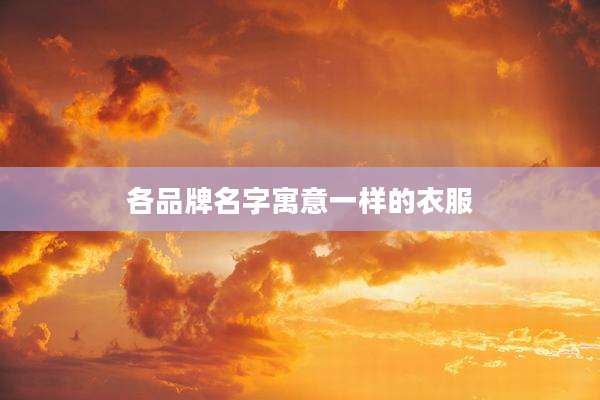 各品牌名字寓意一样的衣服
