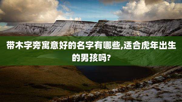 带木字旁寓意好的名字有哪些,适合虎年出生的男孩吗?