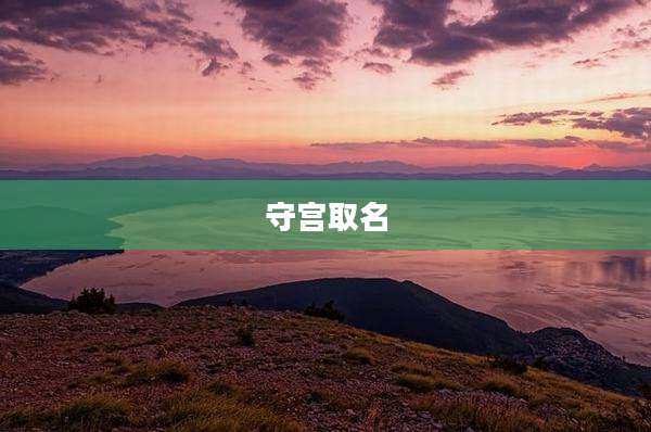 守宫取名
