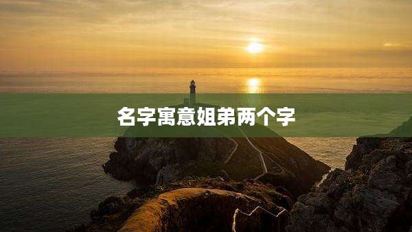 名字寓意姐弟两个字
