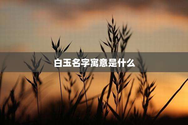 白玉名字寓意是什么