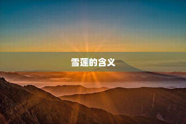雪莲的含义