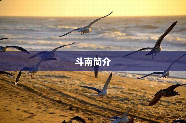 斗南简介