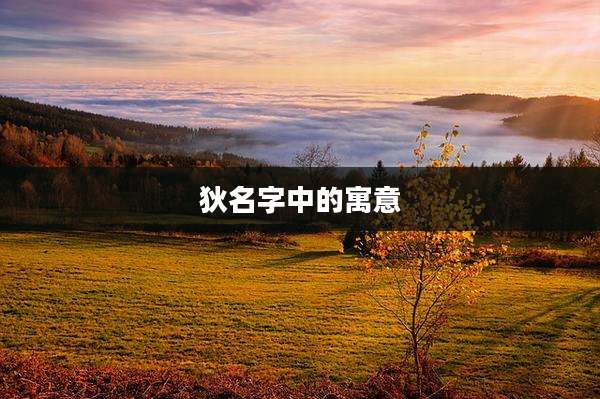 狄名字中的寓意