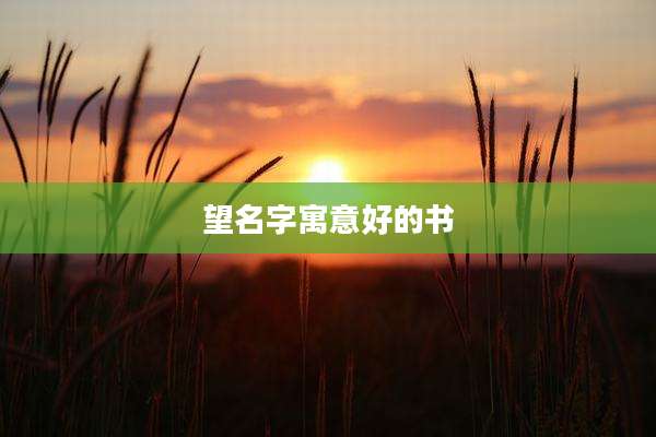 望名字寓意好的书