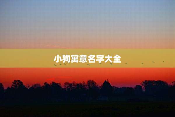 小狗寓意名字大全