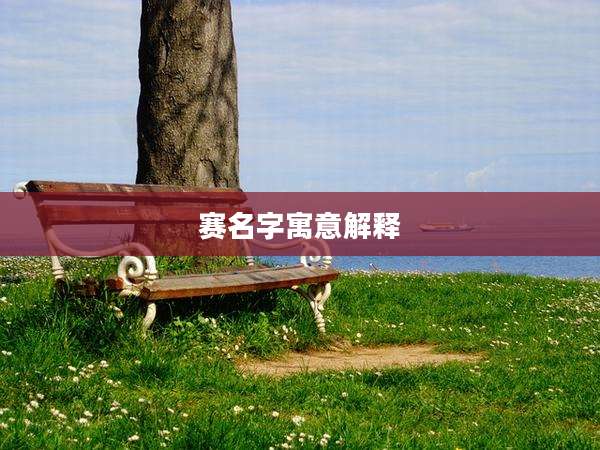 赛名字寓意解释