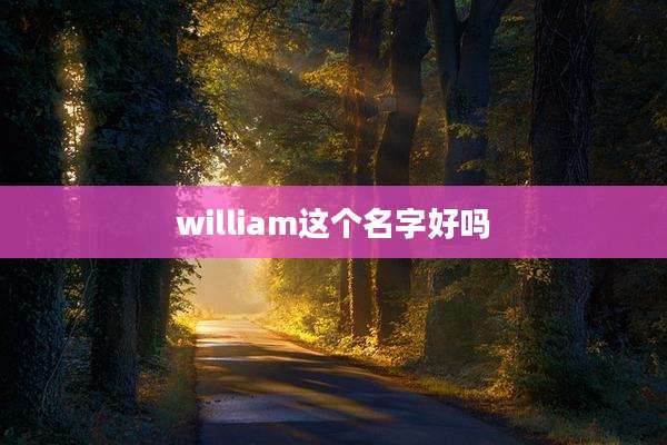 william这个名字好吗