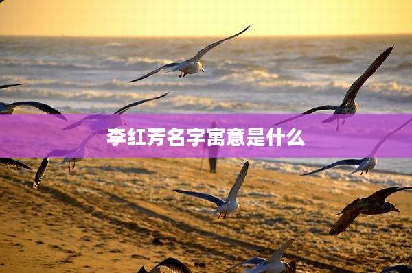 李红芳名字寓意是什么