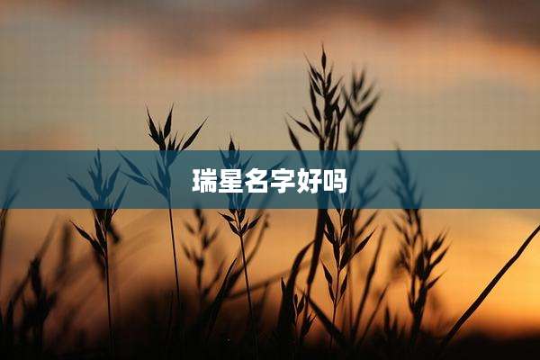 瑞星名字好吗
