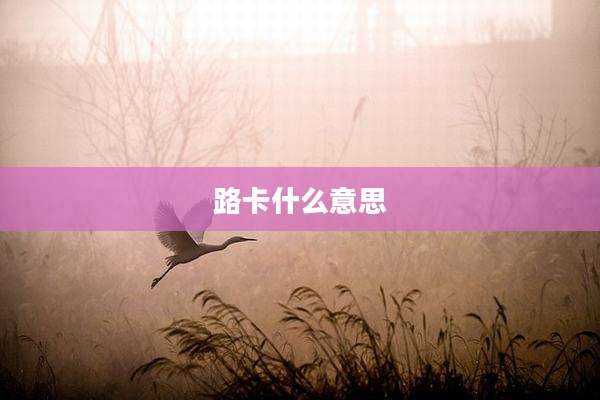 路卡什么意思