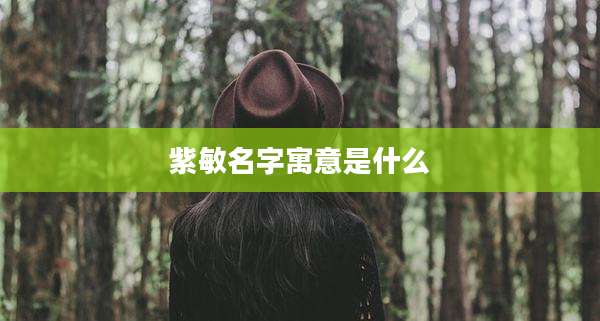 紫敏名字寓意是什么