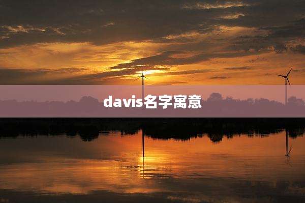 davis名字寓意