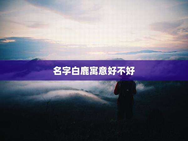名字白鹿寓意好不好