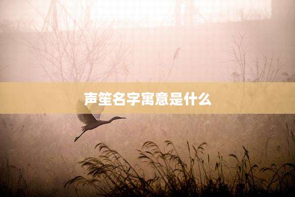 声笙名字寓意是什么