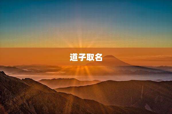 道子取名
