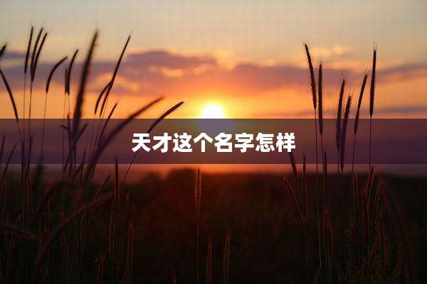 天才这个名字怎样