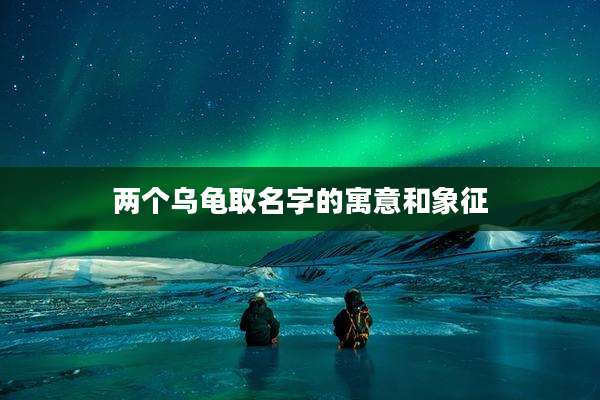 两个乌龟取名字的寓意和象征